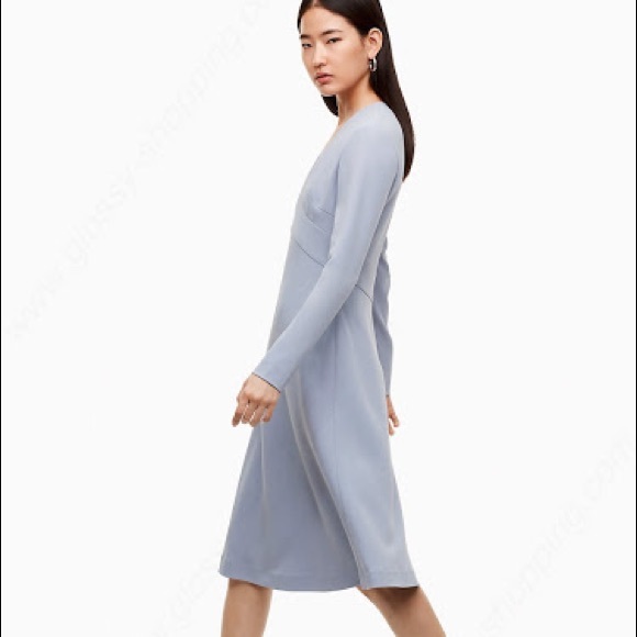 Aritzia Dresses & Skirts - Babaton (Aritzia) ‘Teijo’ Long Sleeve V-Neck Dress